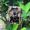 Willfine Trailcam 80° Pro 5.8 E-mail vadkamera